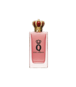 D&G Q EDP